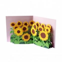 2totango Pop-  Card Sunflower Field Kort