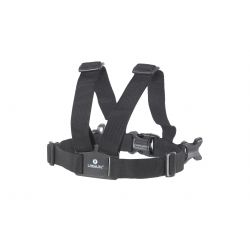 Littlelife Toddler Reins  Basic Diverse