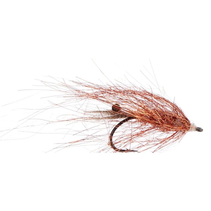 Jensen Copper Shrimp
