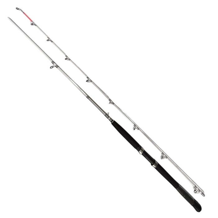 Daiwa Accudepth Trolling