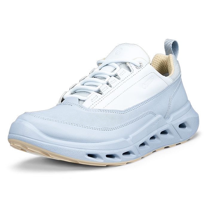Ecco Biom 720 Leather Gtx Kvinder   Damer  Dusty Blue-37 Hverdagssko