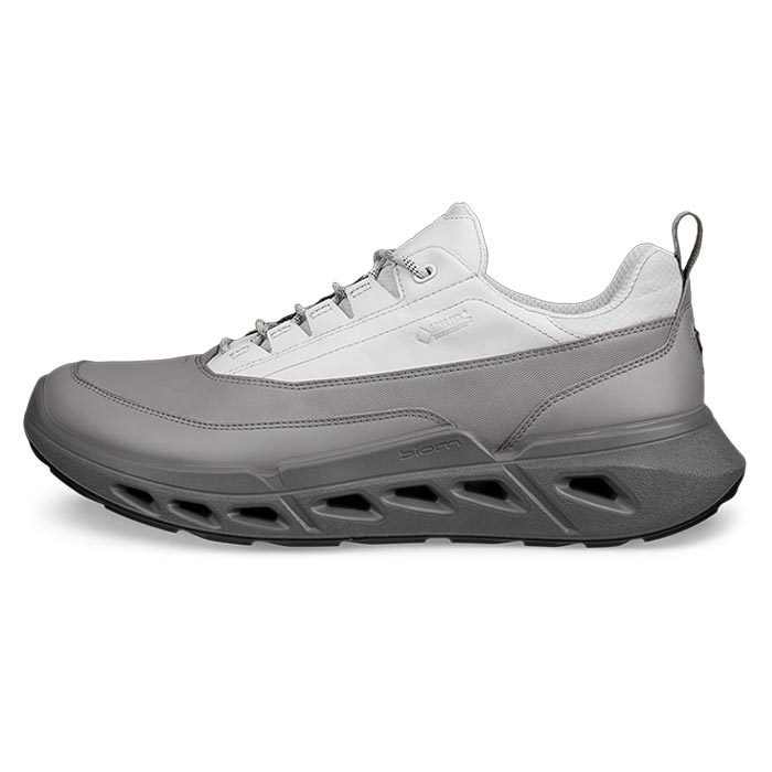 Ecco Biom 720 Low Gtx Leather Herre   Mænd  Concrete-41 Hverdagssko