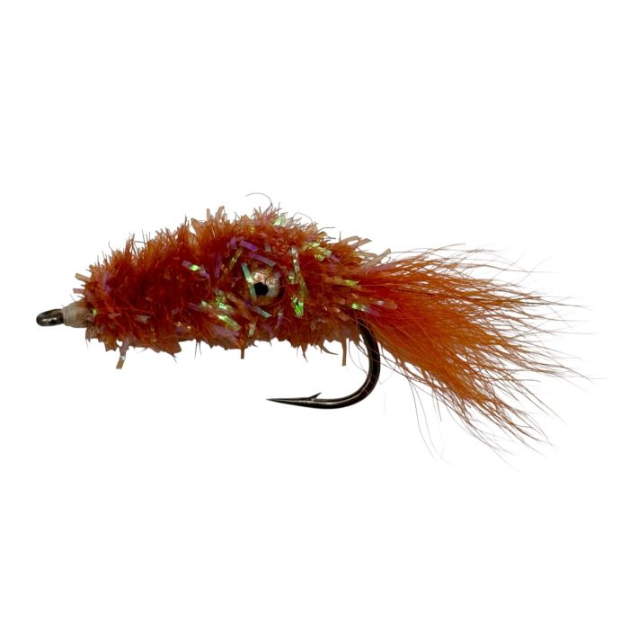 :  Cactus Shrimp Orange Str