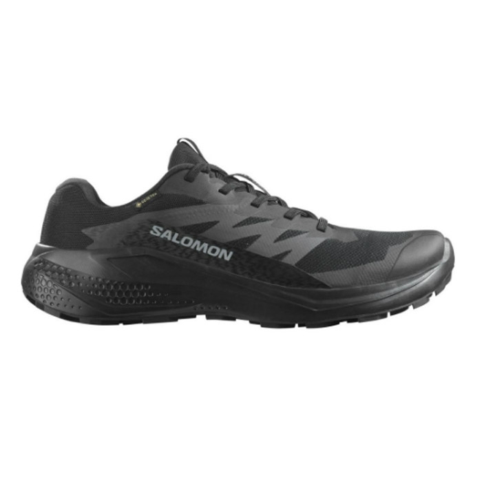 Salomon Alphaglide Gtx Herre   Mænd  Black-44         Vandresko