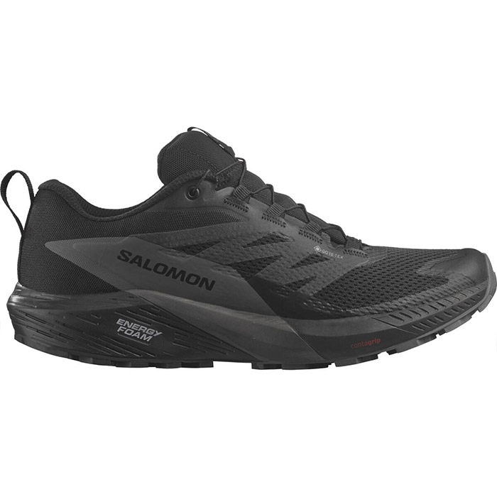Salomon Sense Ride   Gtx  Black Magnet-42       Fodtøj