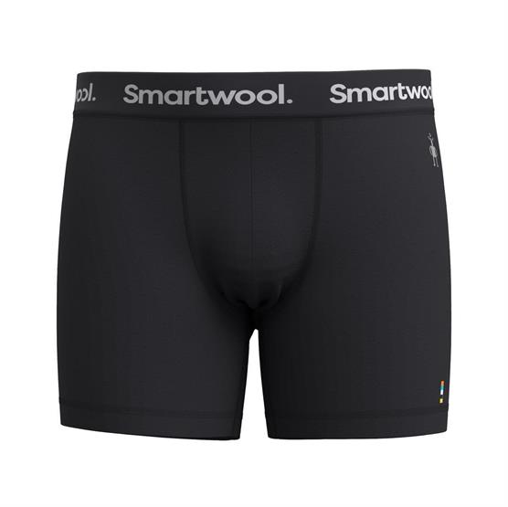 Smartwool Mens Everyday Merino Boxer Brief  Black