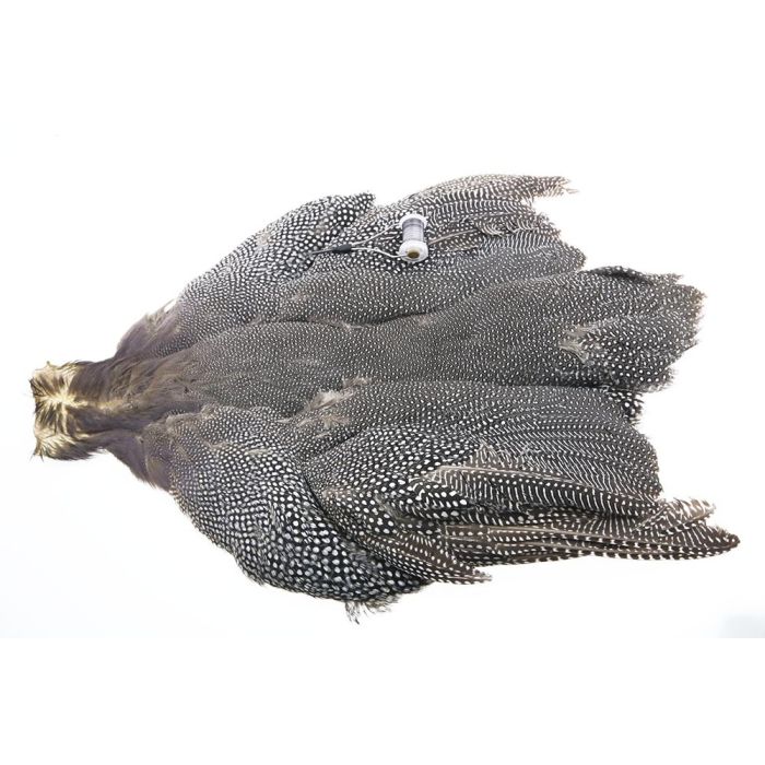The Fly Guinea Skin Natural