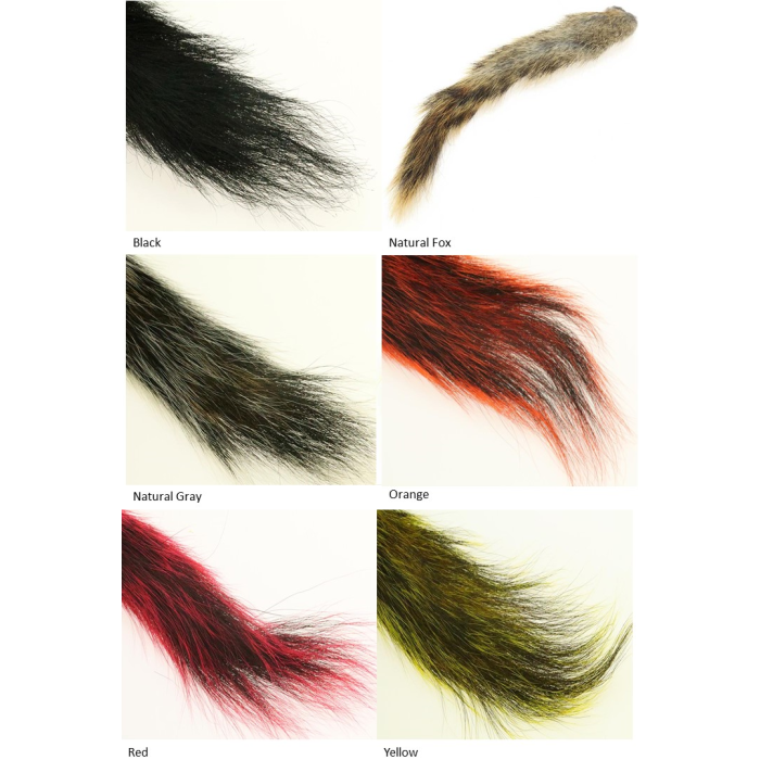 The Fly    Squirrel Tail