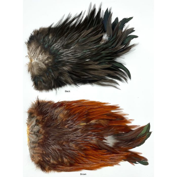 Whiting       Rooster Saddle