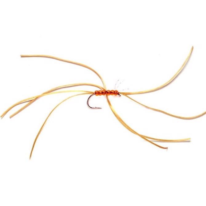 Crazy Spider Orange  Put   Take Flue Fluer