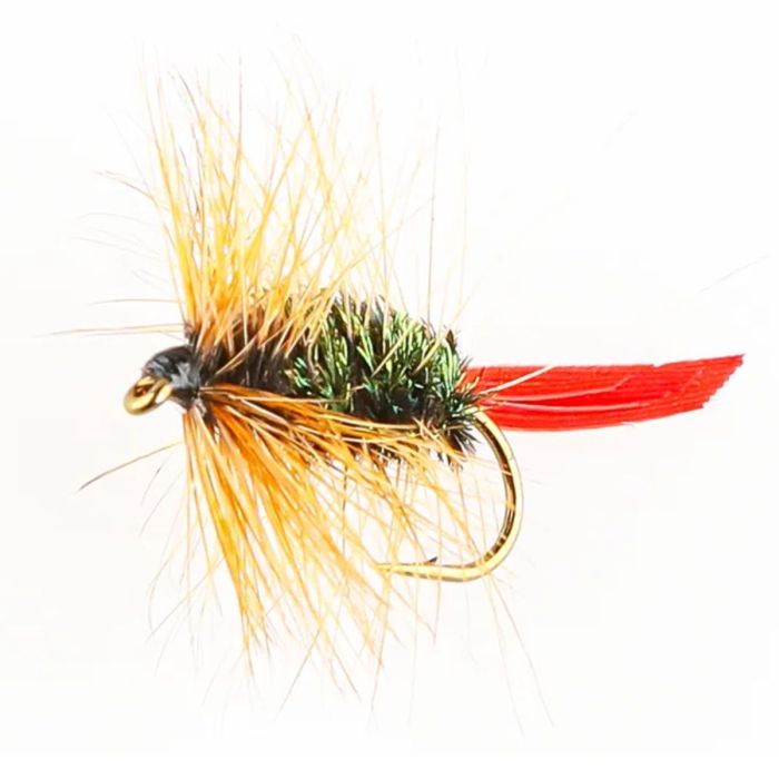 Dano Fly Dyson Dry  14