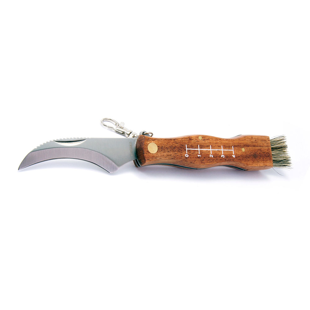 Filmam Svampekniv Med Børste
