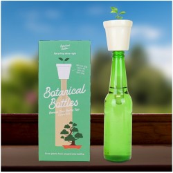 Gift Republic Botanical Bottles Bonsai Plante