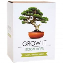 Gift Republic Grow   Kit Bonsai Trees Træ