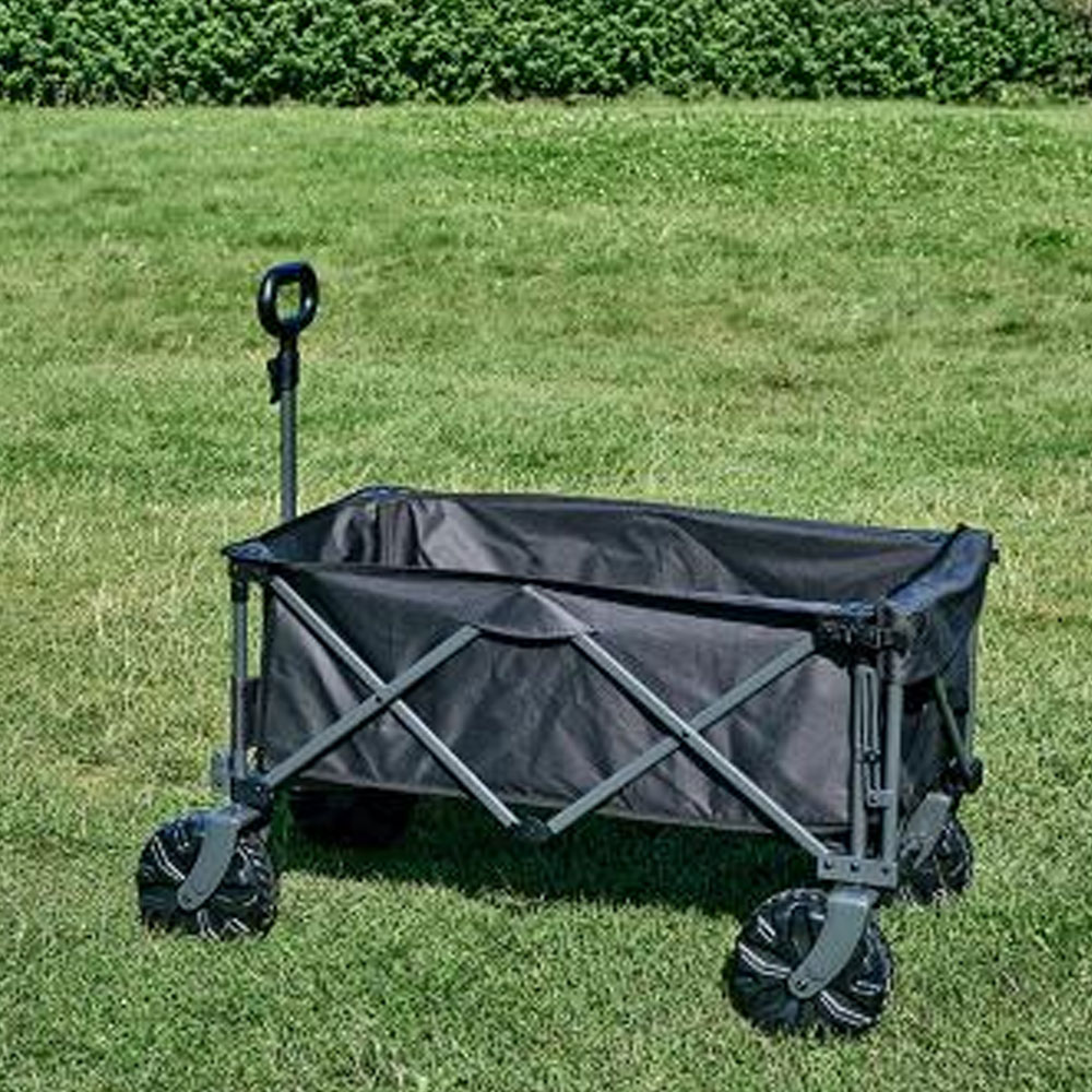 Isabella Beachtrolley