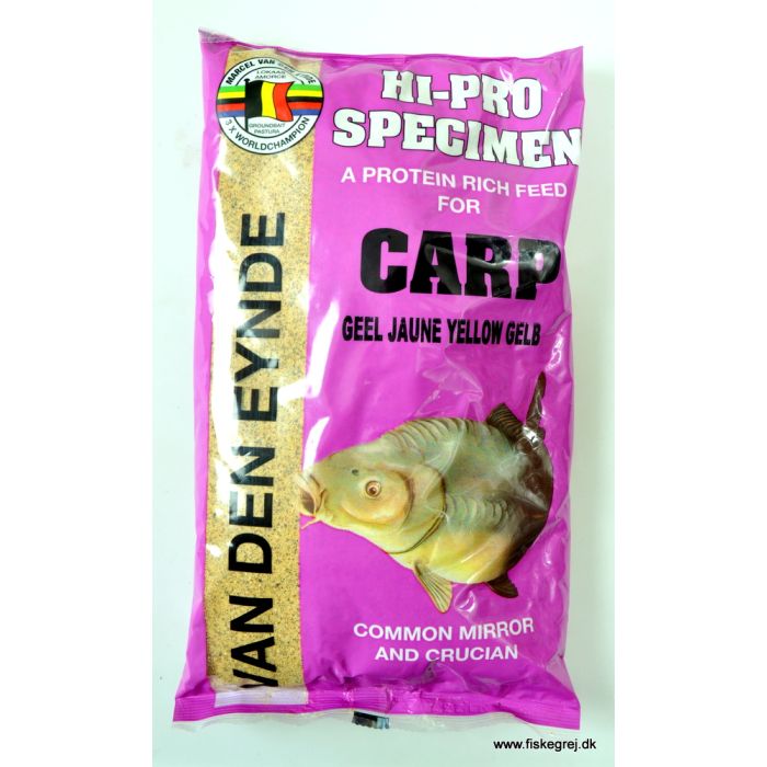 Eynde  -pro Carp Gul
