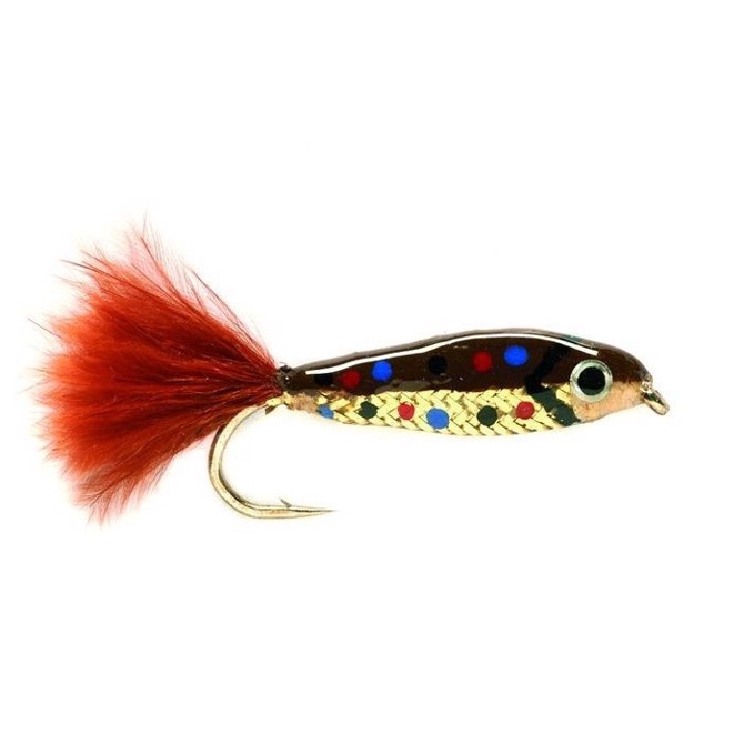 Minnow Brun  Put   Take Flue Fluer