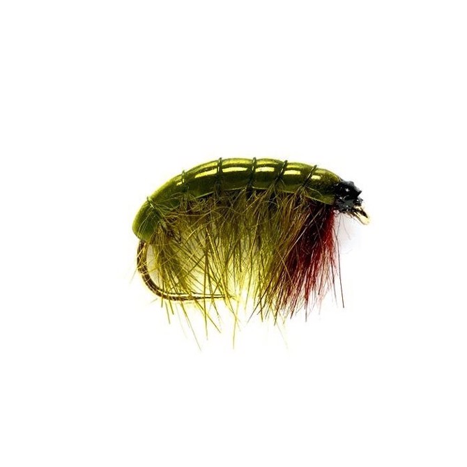 Grøn Bug  Str  12 Fluer