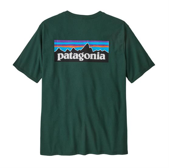 Patagonia Mens  -  Logo Responsibili-tee  Cascade Green