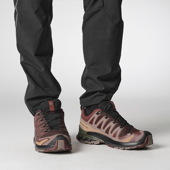 Salomon   Pro 3d V9 Gtx Herre   Mænd  Blk Coffee   Raisin-44         Vandresko