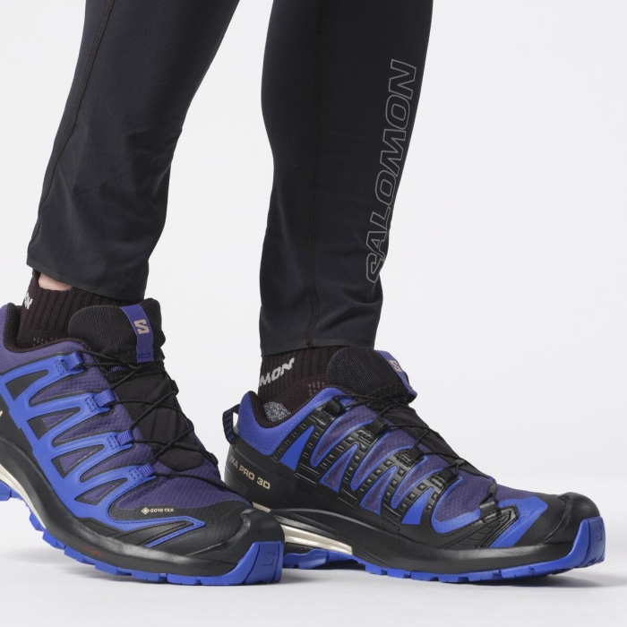 Salomon   Pro 3d V9 Gtx Herre   Mænd  Blå Print Stw  -41             Vandresko