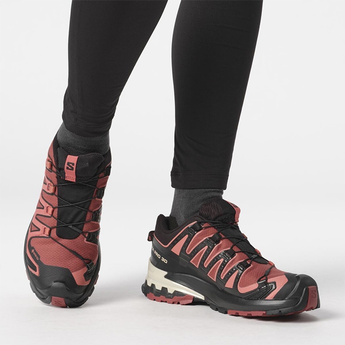 Salomon   Pro 3d V9 Gtx Kvinder   Damer    Hide Blk   Rose-36           Vandresko