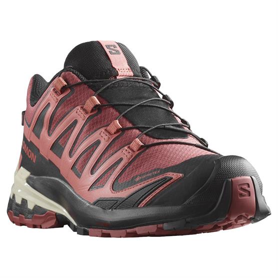 Salomon   Pro 3d V9 Gtx Womens  Cow Hide   Black