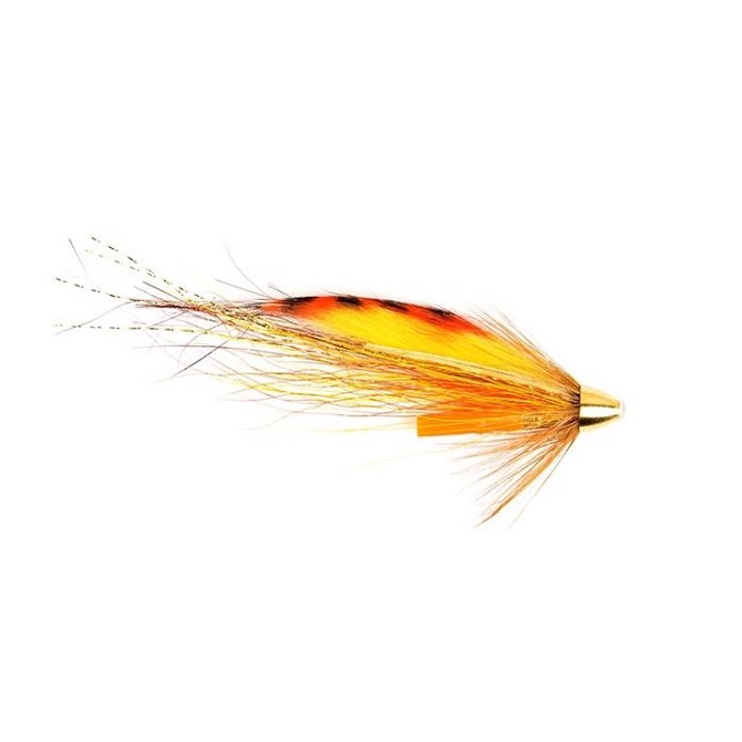 Tiger Tail Conehead  Gul   Blk  Rørflue Fluer