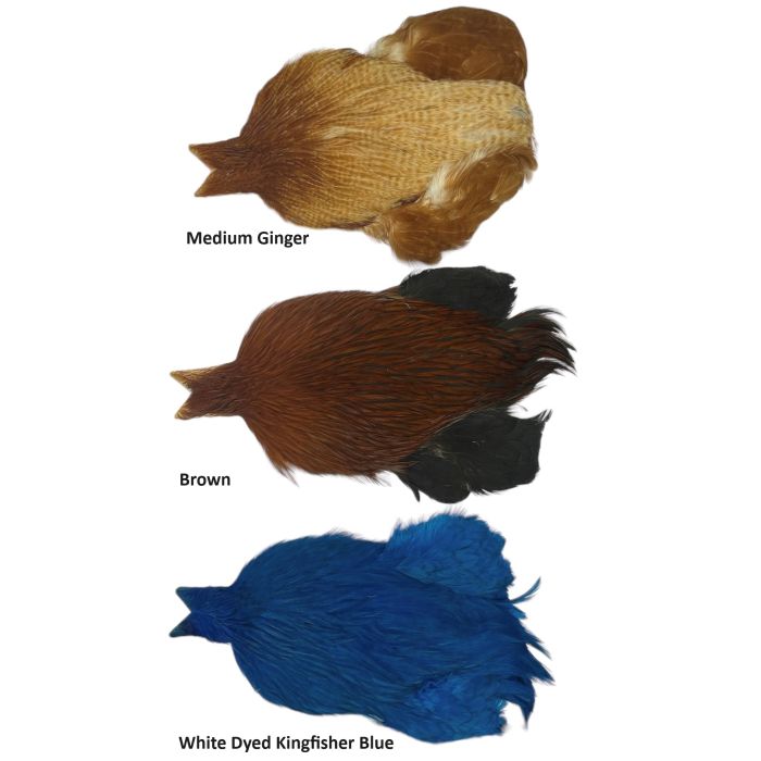 Whiting       Rooster Cape