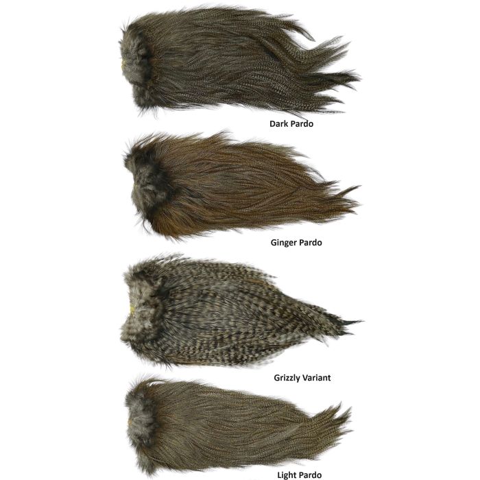 Whiting Coq   Leon Bronze Saddle