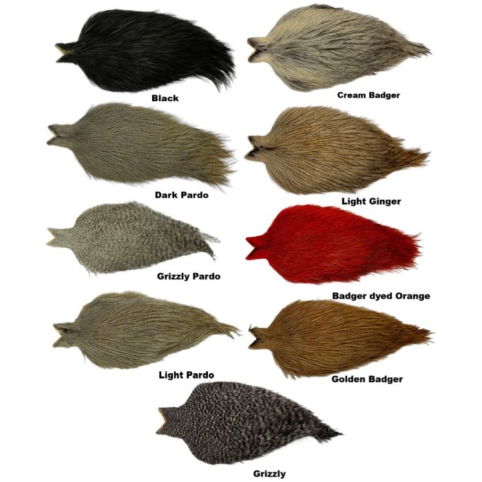 Whiting Coq   Leon Cape