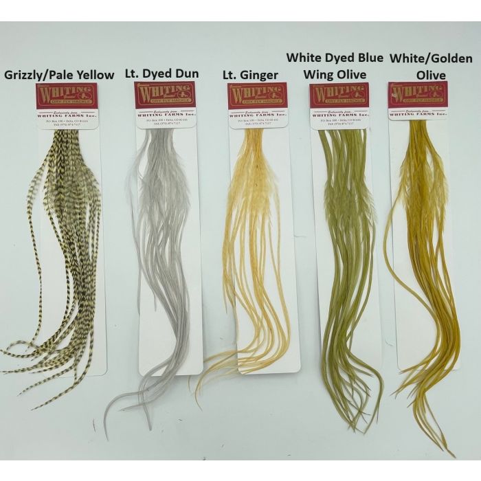 Whiting 100